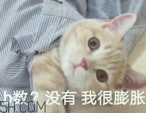 b數(shù)沒有我膨脹什么意思？b數(shù)沒有我膨脹表情包