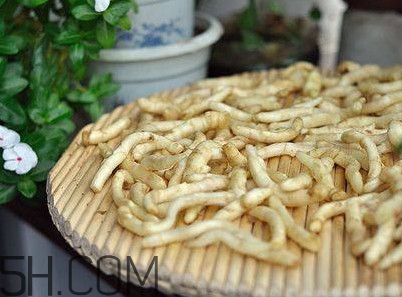 什么時候嫩姜芽上市？姜芽的功效與作用