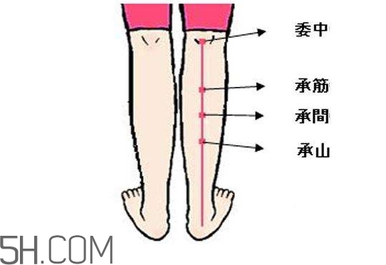 小腿抽筋可以跑步嗎？小腿抽筋可以拔火罐嗎