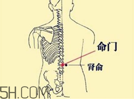 小腿抽筋可以跑步嗎？小腿抽筋可以拔火罐嗎