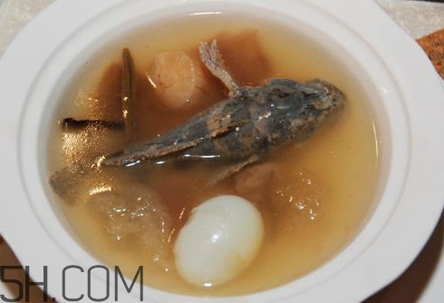 松江鱸魚哪里有？松江鱸魚什么季節(jié)吃最好