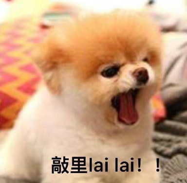 敲里lailai是什么意思？敲里lailai表情包無(wú)水印