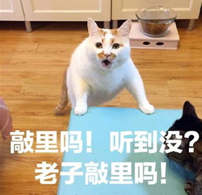敲里lailai是什么意思？敲里lailai表情包無(wú)水印
