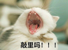 敲里lailai是什么意思？敲里lailai表情包無(wú)水印