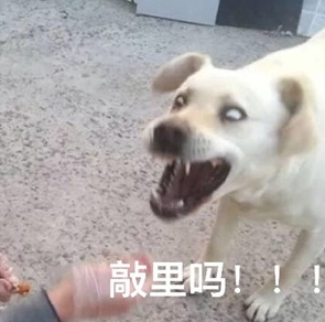 敲里lailai是什么意思？敲里lailai表情包無(wú)水印