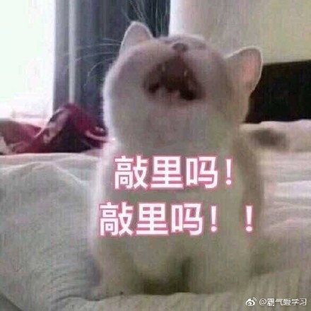 敲里lailai是什么意思？敲里lailai表情包無(wú)水印