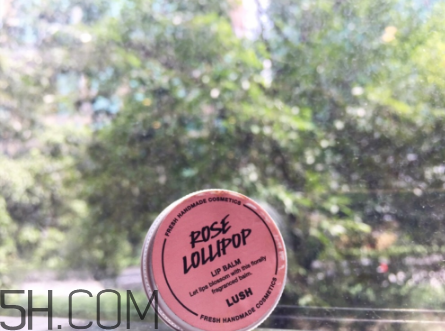 lush潤唇膏好用嗎？lush潤唇膏多少錢？