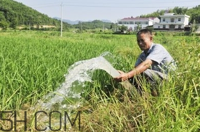 女生說(shuō)抽水什么意思？女生發(fā)消息想抽水什么意思？