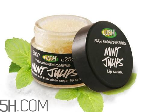 lush唇部磨砂膏好用嗎？lush唇部磨砂膏多少錢？