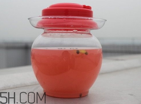 泡菜水能喝嗎？泡菜水的制作方法