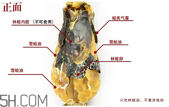 林蛙哪些部位不能吃？林蛙有什么營養(yǎng)