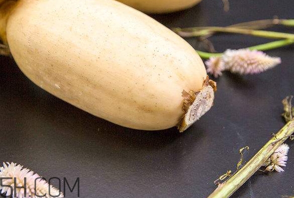 蓮藕是什么季節(jié)成熟的？蓮藕什么時候種植
