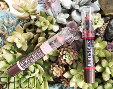 小蜜蜂唇膏筆多少錢？小蜜蜂唇膏筆很貴嗎？