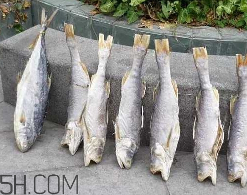 咸魚不能和什么一起吃？咸魚是什么意思