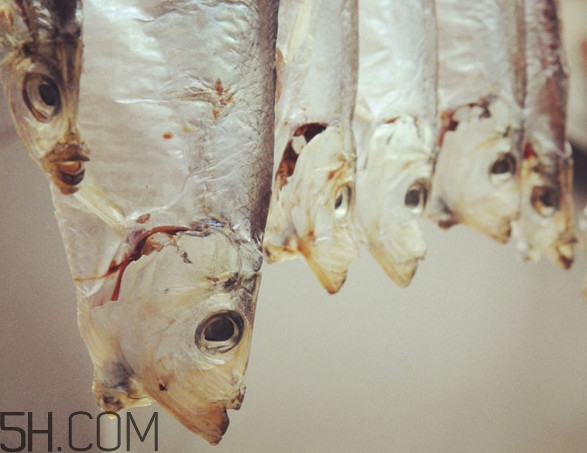 腌咸魚鹽和魚的比例是多少？咸魚一般腌多久才能曬