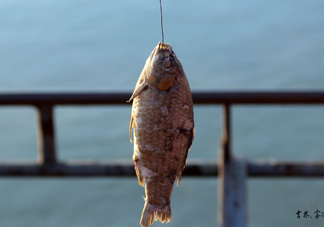 咸魚(yú)什么人不能吃？怎樣去除咸魚(yú)的咸