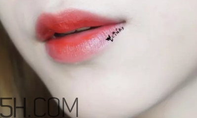 mac lady bug好看嗎？lady bug試色