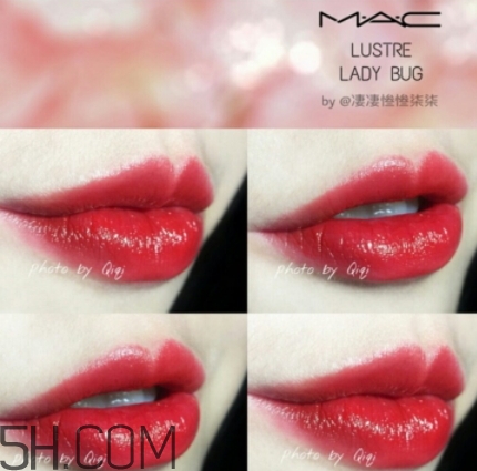 mac lady bug好看嗎？lady bug試色