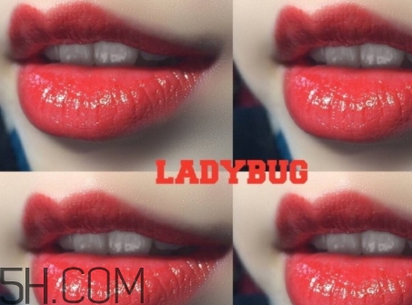 mac lady bug掉色嗎？mac ladybug真假辨別