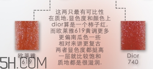 歐萊雅619和迪奧740像嗎？歐萊雅619秋葉和迪奧740對(duì)比