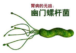 胃幽門螺旋菌陽性怎么辦？幽門螺桿菌能徹底治愈嗎