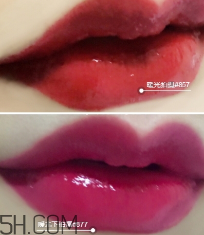迪奧857和877哪個好看？迪奧857和877試色對比