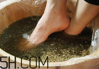 用什么泡腳比較好？艾葉泡腳還是紅花泡腳？