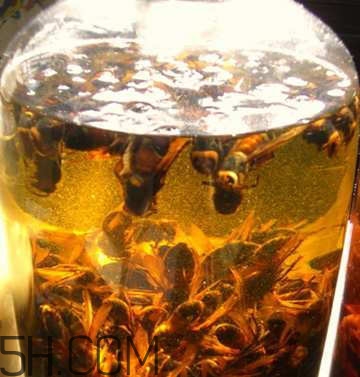 喝什么藥酒可以補腎壯陽？補腎壯陽藥酒什么時候喝好？
