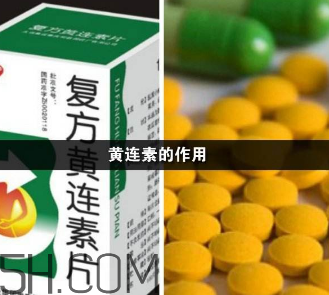 黃連素能降血糖嗎？黃連素能經(jīng)常吃嗎？