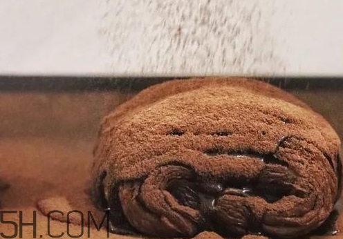 巧克力臟臟包怎么做？巧克力臟臟包的做法