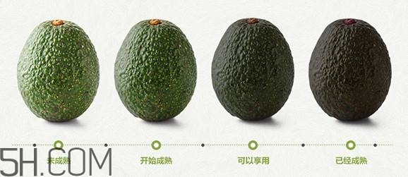 生牛油果可以放冰箱嗎？生牛油果怎么保存？