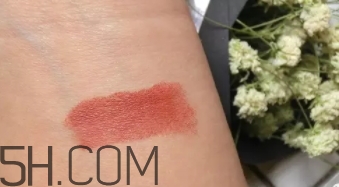 mac mocha和brick哪個(gè)好看？mac mocha和brick試色對(duì)比