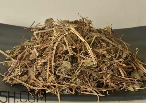 什么是透骨草？透骨草的功效與作用是什么？