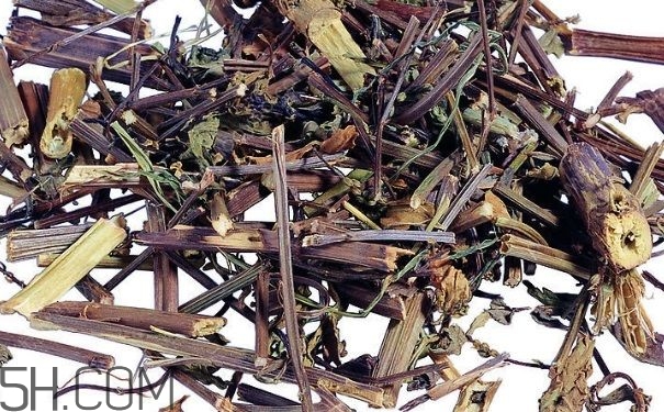 艾葉草洗澡有什么好處？怎么挑選艾葉草？