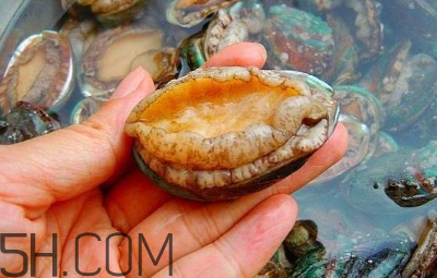 鮑魚怎么做好吃？吃鮑魚注意事項