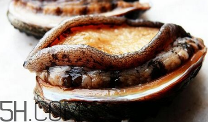 新鮮鮑魚怎么洗才干凈？鮑魚做法大全
