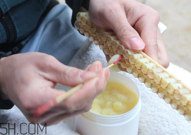 蜂王漿的營養(yǎng)成分有哪些？怎么辨別真假蜂王漿？