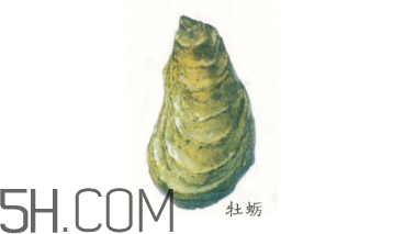 吃生蠔應(yīng)該注意哪些事項？生蠔與牡蠣的區(qū)別