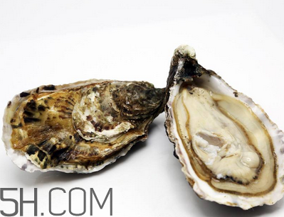 量吃生蠔有哪些好處？生蠔糖尿病人能吃嗎？