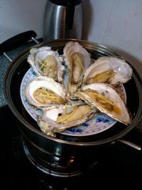 吃生蠔應(yīng)該注意哪些事項？生蠔與牡蠣的區(qū)別