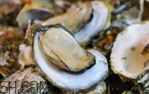 生蠔生吃好嗎？生蠔怎么吃最有營(yíng)養(yǎng)？