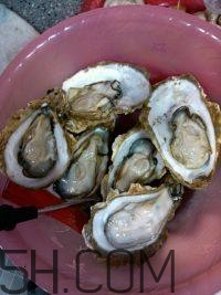 吃生蠔應(yīng)該注意哪些事項？生蠔與牡蠣的區(qū)別