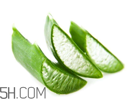 雅麗潔蘆薈膠有激素嗎？雅麗潔蘆薈膠測評