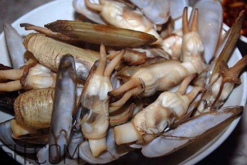 蟶子里面的黑色能吃嗎？蟶子為什么一撒鹽就出來？