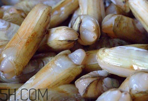 蟶子里面的黑色能吃嗎？蟶子為什么一撒鹽就出來？