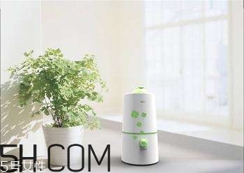 加濕器的使用誤區(qū)有哪些？加濕器的功能介紹