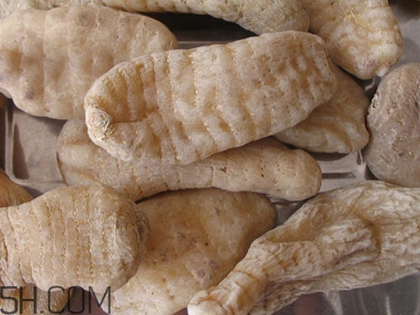 天麻能泡水喝嗎？吃天麻有什么作用？