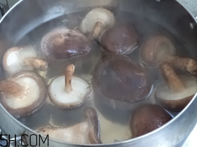 香菇和白蘿卜可以一起吃嗎？香菇和白蘿卜一起吃有什么好處？