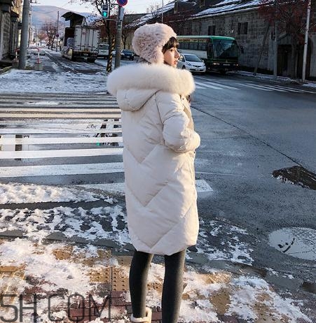 鵝絨羽絨服大概多少錢？白鵝絨羽絨服多少錢一件？