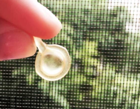 雅頓眼膠和面膠區(qū)別 雅頓眼膠和面膠可以一起用嗎？